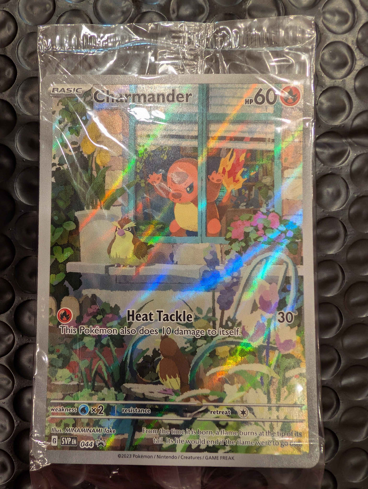 NM Charmander 044